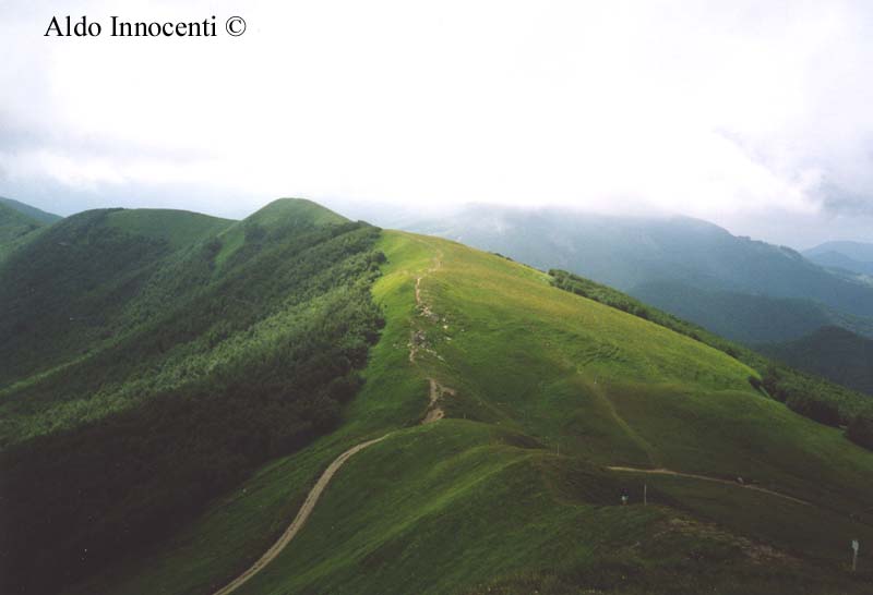 IL MONTE LA NUDA